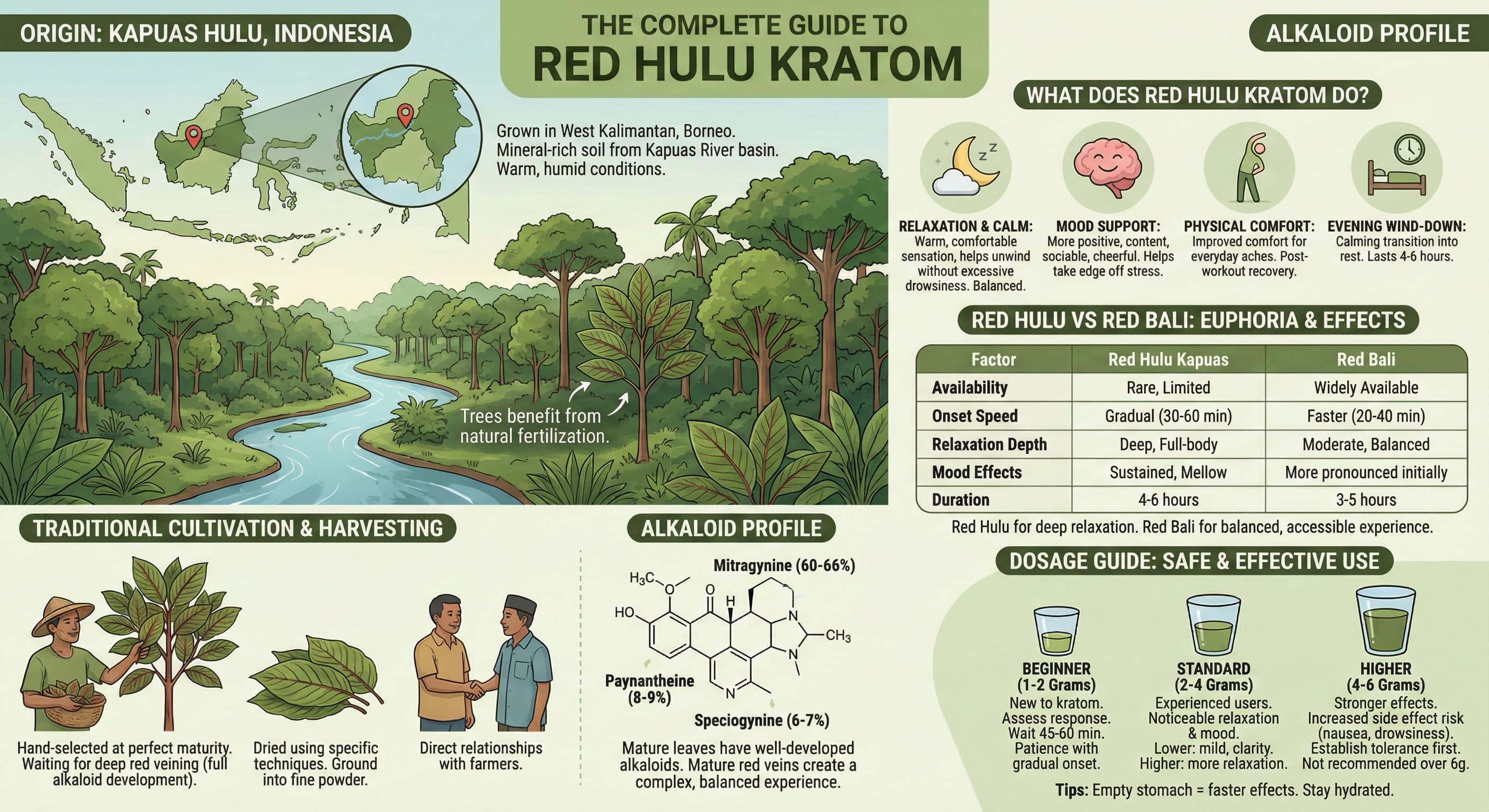 red hulu kratom guide infographic